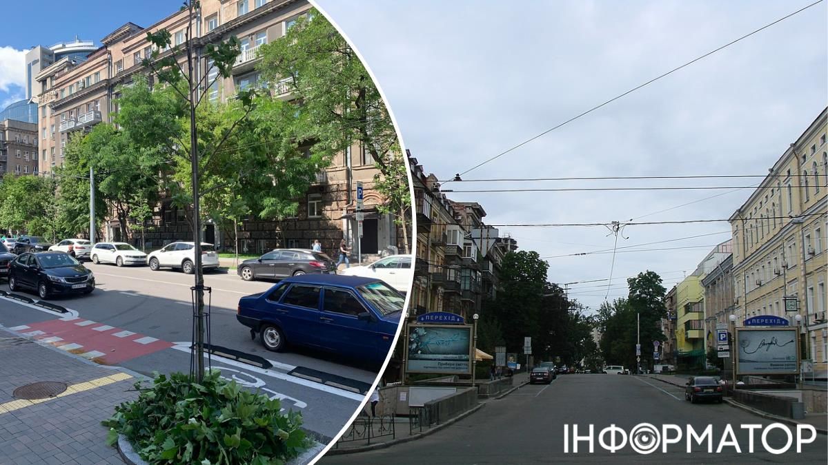 Київзеленбуд кронування