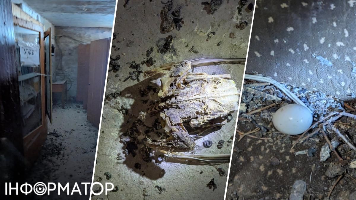 Бахматов візуалізував свій пост приголомшливими світлинами: на горищі й у підвалі приміщення не використовували так довго, що там встигли завестися власні "кладовища". Фото: Максим Бахматов