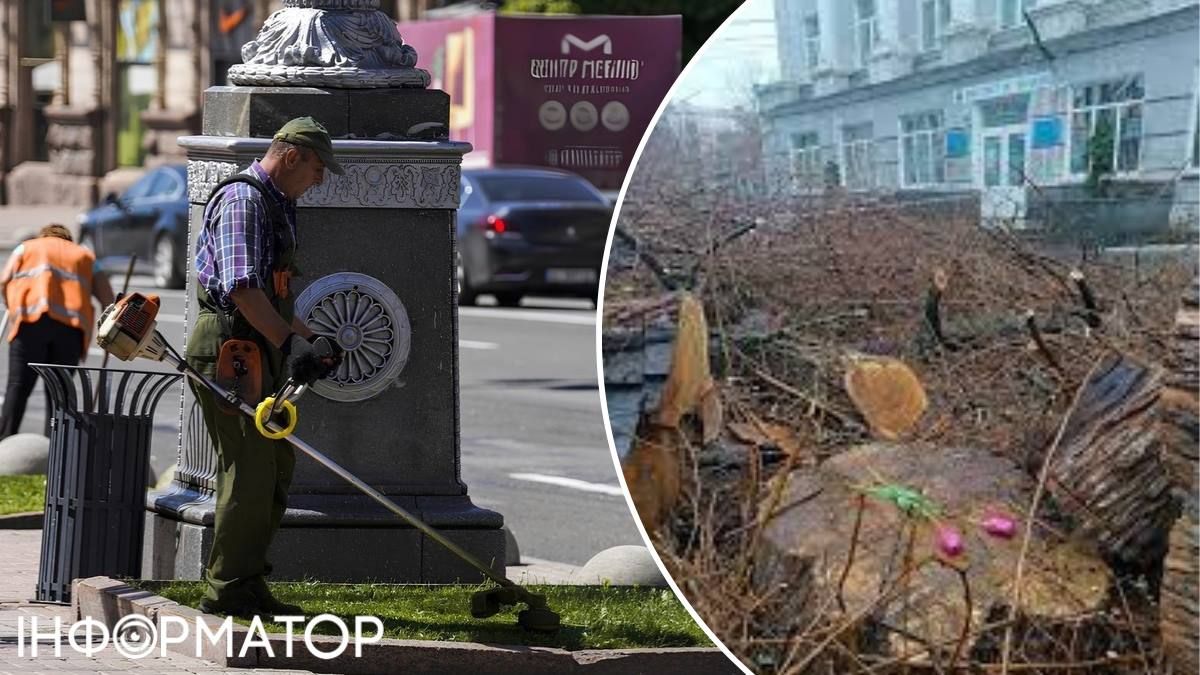 Порубка деревьев скашивания газонов зеленстрой