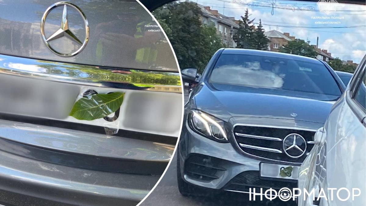 Водитель полиция номерные знаки