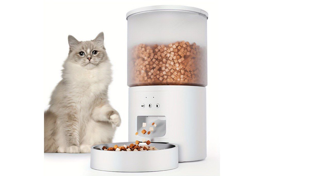 Умные гаджеты для животных: как технологии делают жизнь питомцев комфортнее