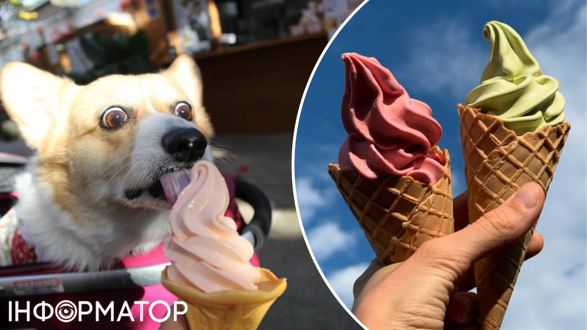 ресторани Києва морозиво фестиваль