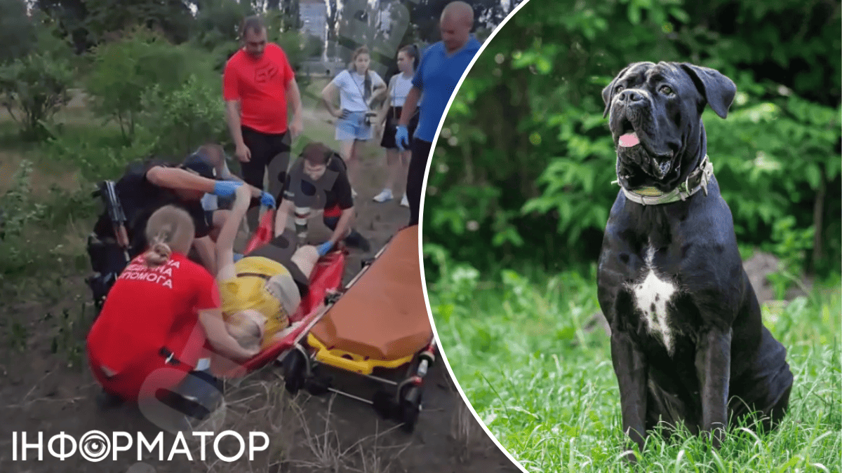 собаки напад агресія