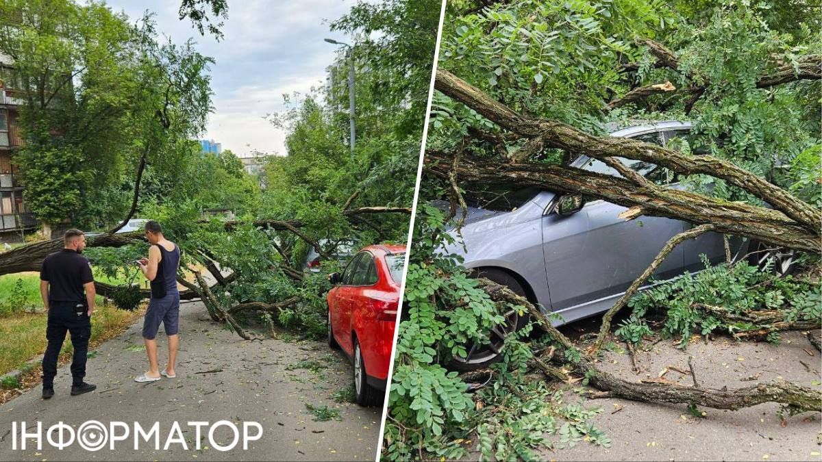 Дерево упало на автомобиль
