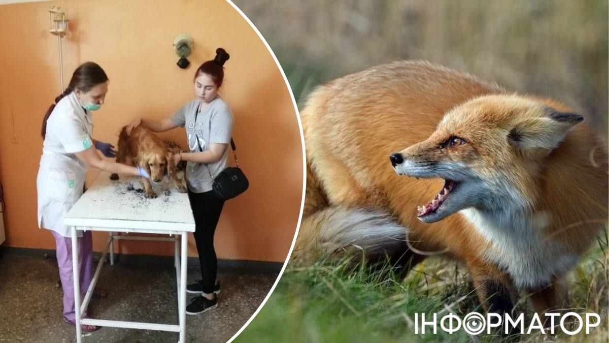 Київська область