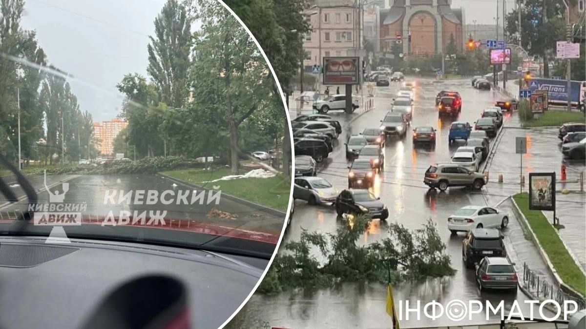 В центре города на дорогах немало упавших деревьев. Фото: соцсети