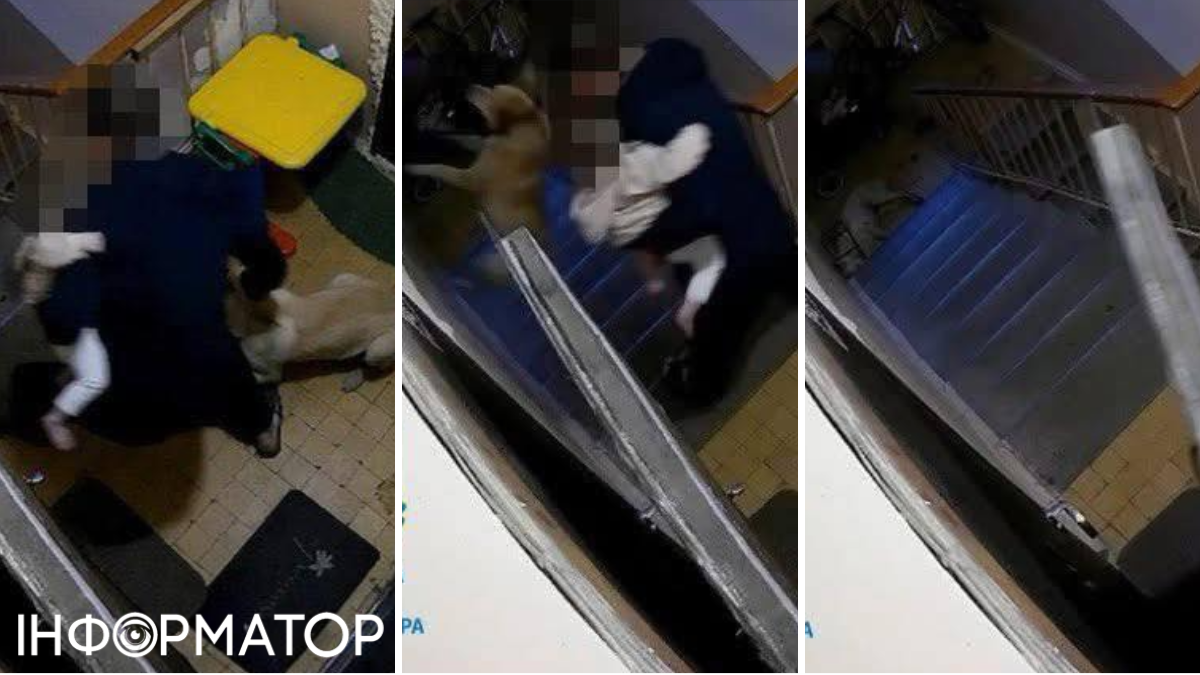 тварини собака суд вирок