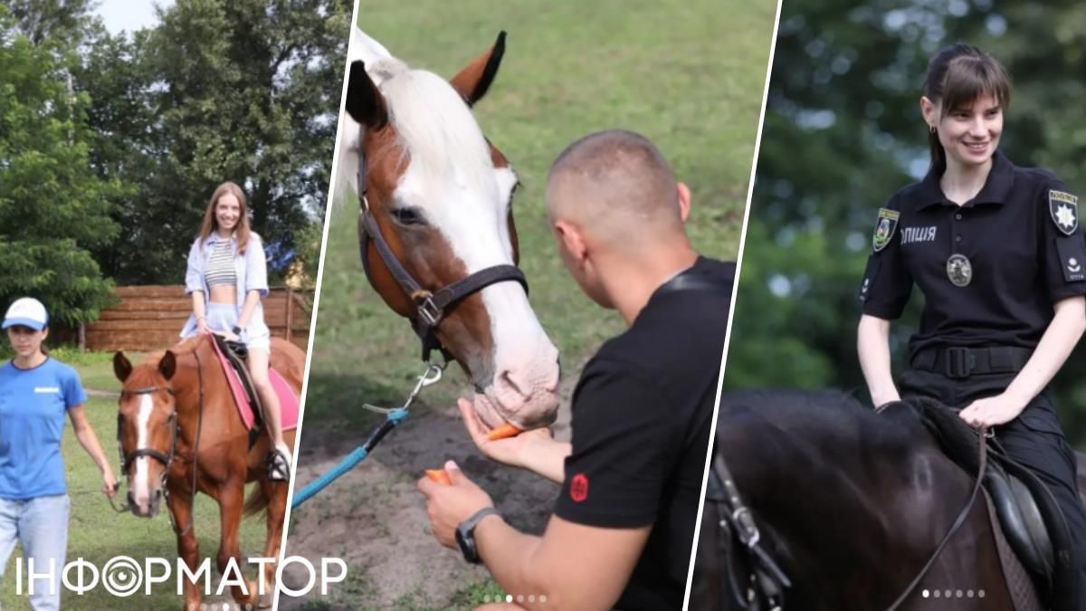 Іпотерапія Бортничі коні