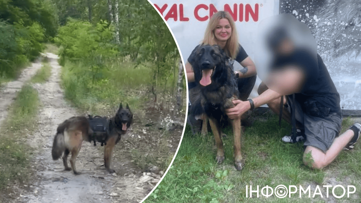 тварини собака порятунок Бородянка