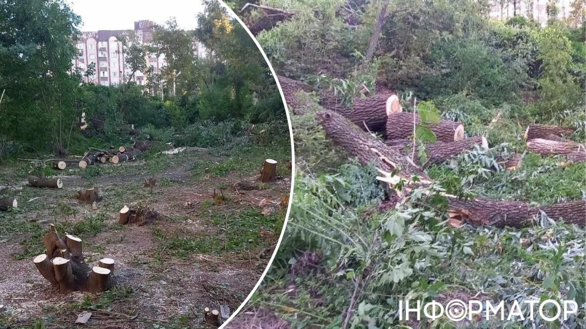 Солом'янський район