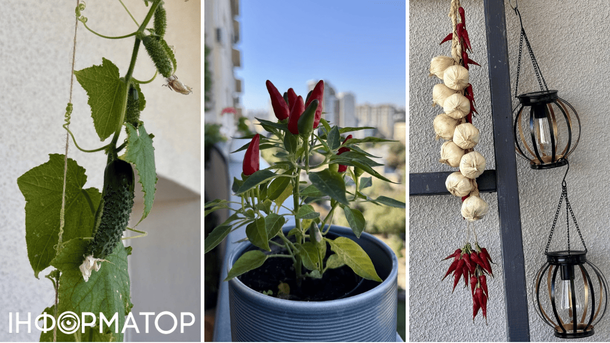 Мало на якому приватному балконі можна побачити таку чудову картинку, як на загальному в одному з ЖК на Деміївці балкон 1