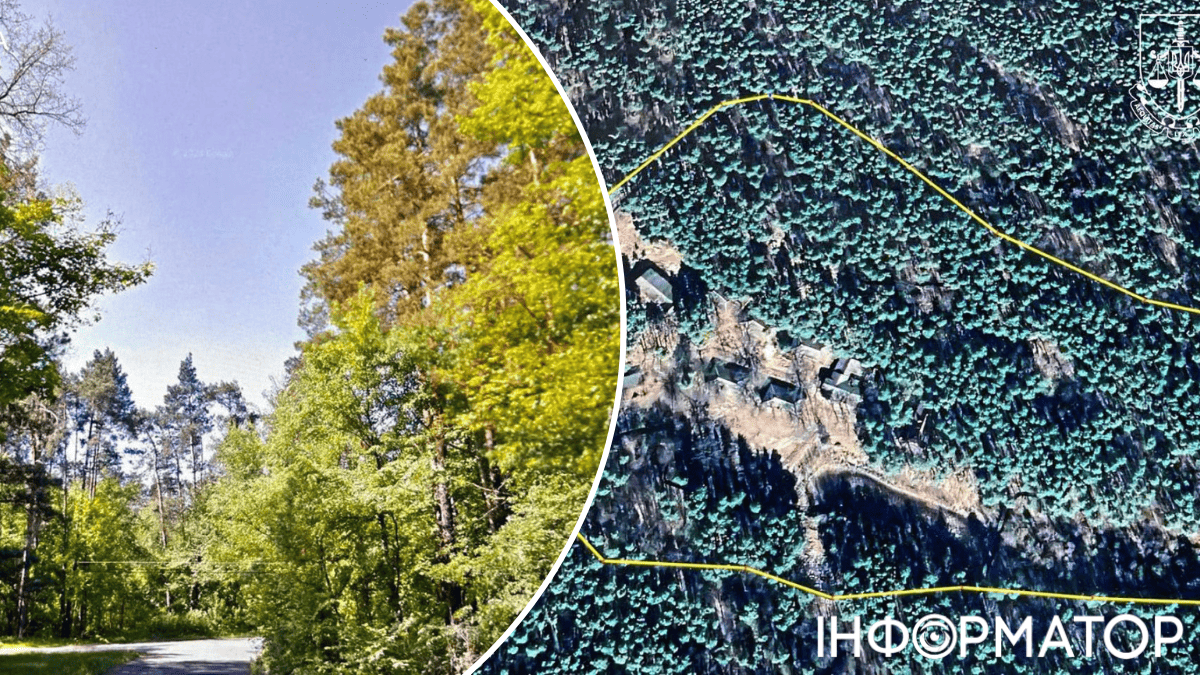 Бортничі ліс забудова прокуратура