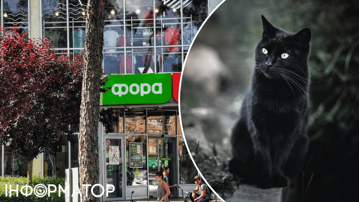 коти