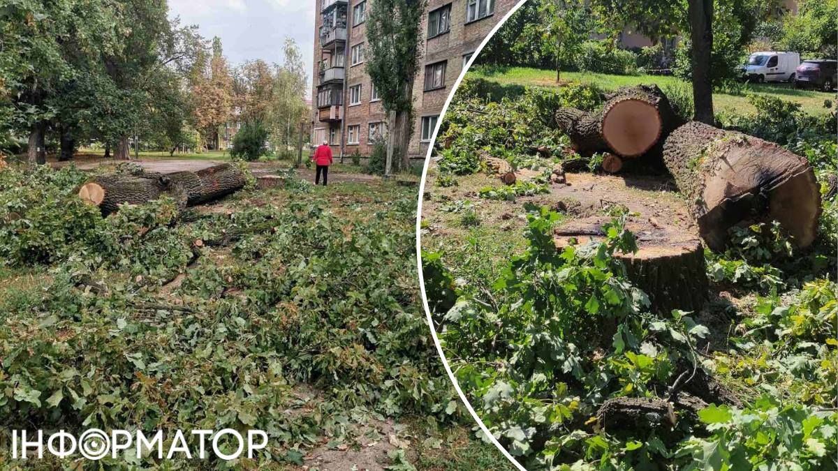 Київзеленбуд