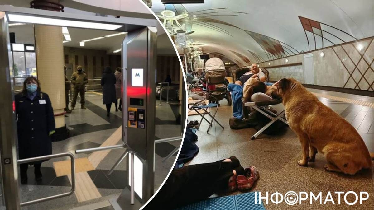 Собака Міша Теремки метро