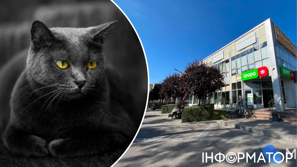 тварини жорстоке поводження Ірпінь супермаркет
