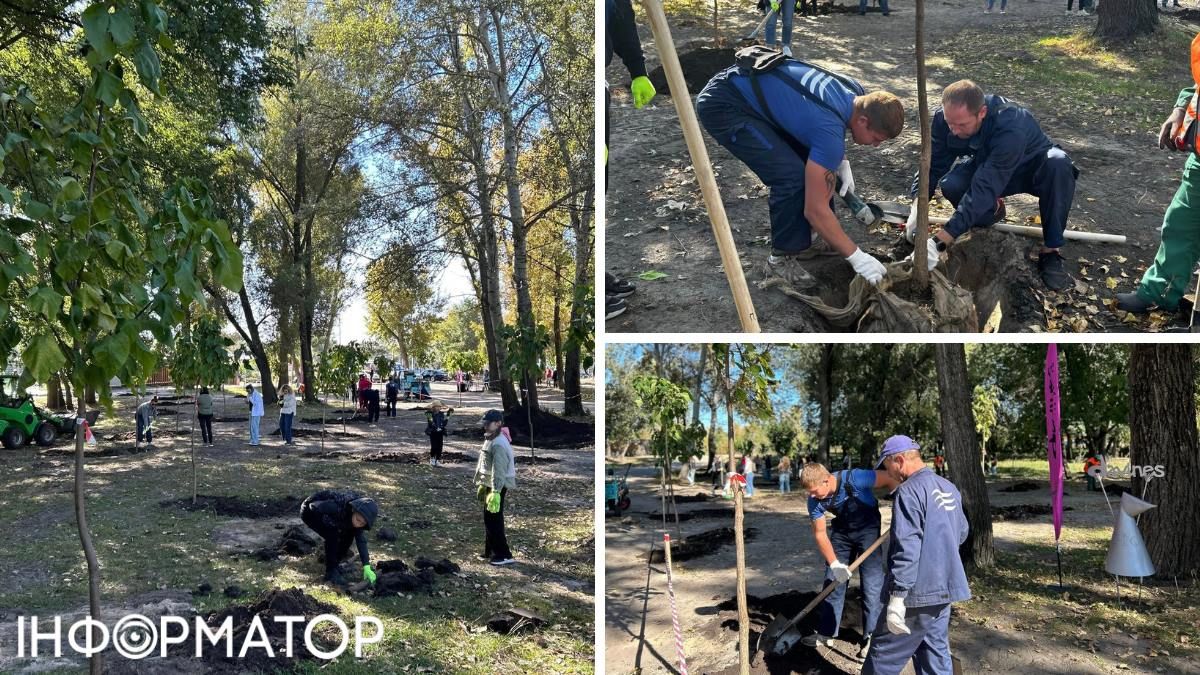 Гідропарк катальпи