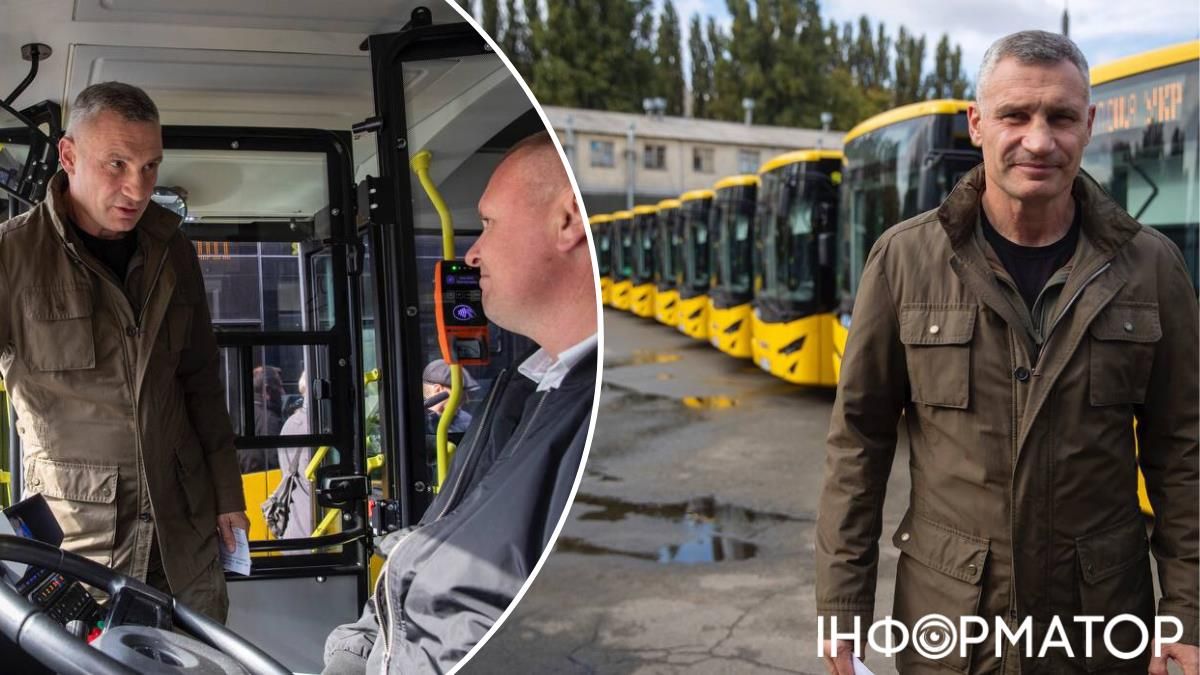 автобусы