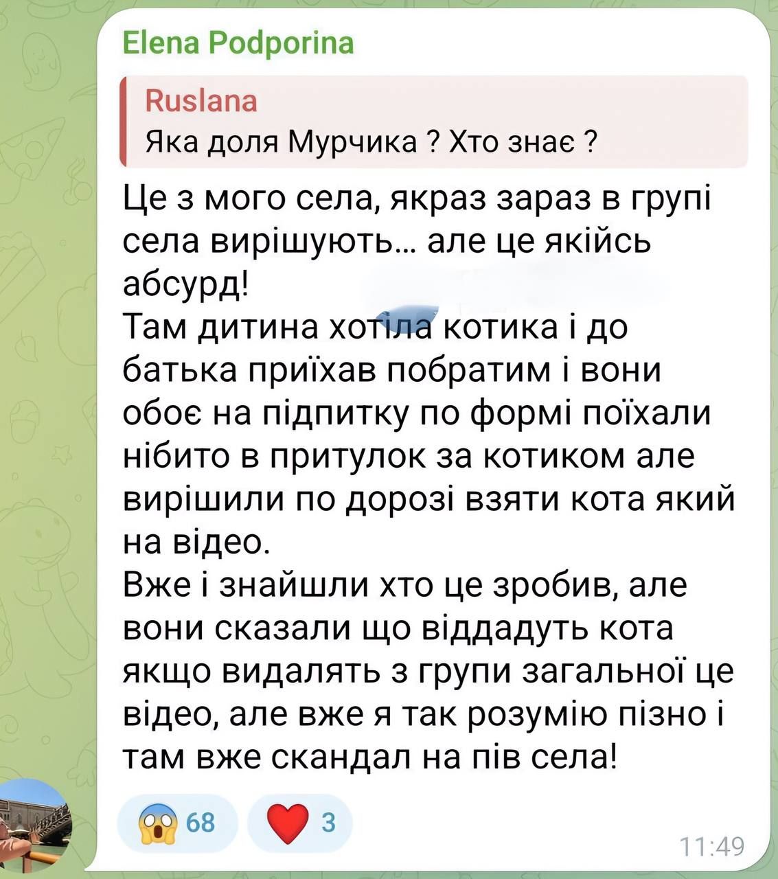 Кота Мурчика на Київщині, якого прославив обласний ТЦК, повернули господарям 1