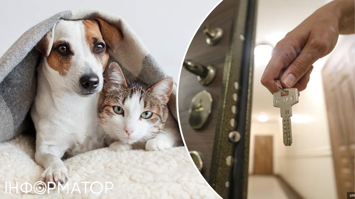 нерухомість оренда тварини
