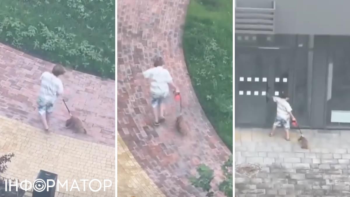 Мальчик собака