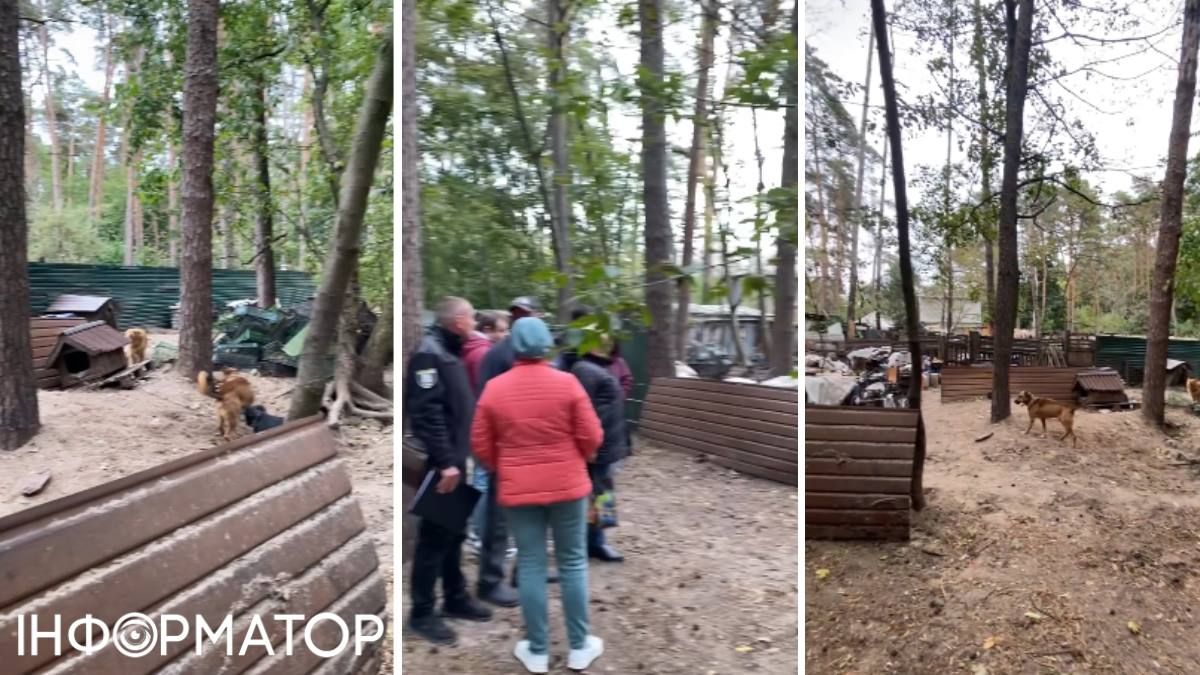 Оболонь собаки притулок