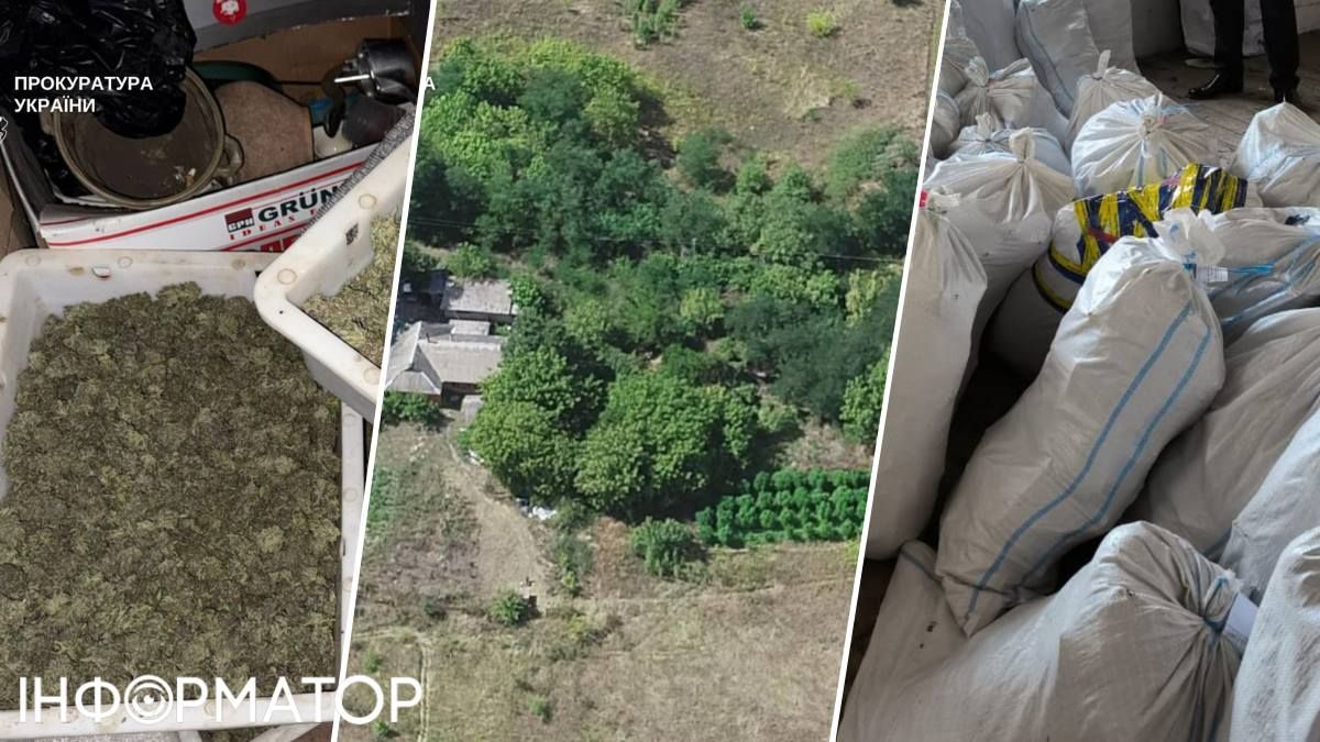 50 мішків коноплі, п'ять кіло канабісу: у Києві викрили потужних наркофермерів