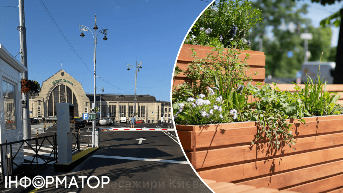 Від хамів-паркунів захистять катальпи: у Києві розробили унікальний метод взаємодії з водіями