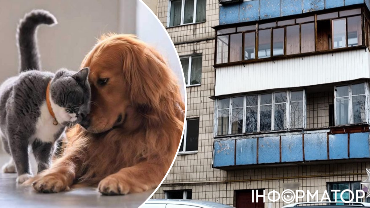 Мученицька смерть: в Ірпені жінка заморила голодом чотирьох підібраних на вулиці тварин