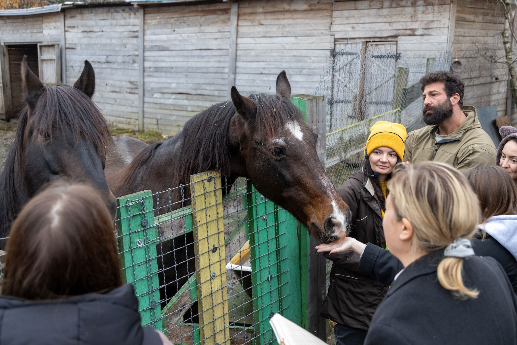 Запали зірку тепла: як допомогти перезимувати тваринам у притулках України 10
