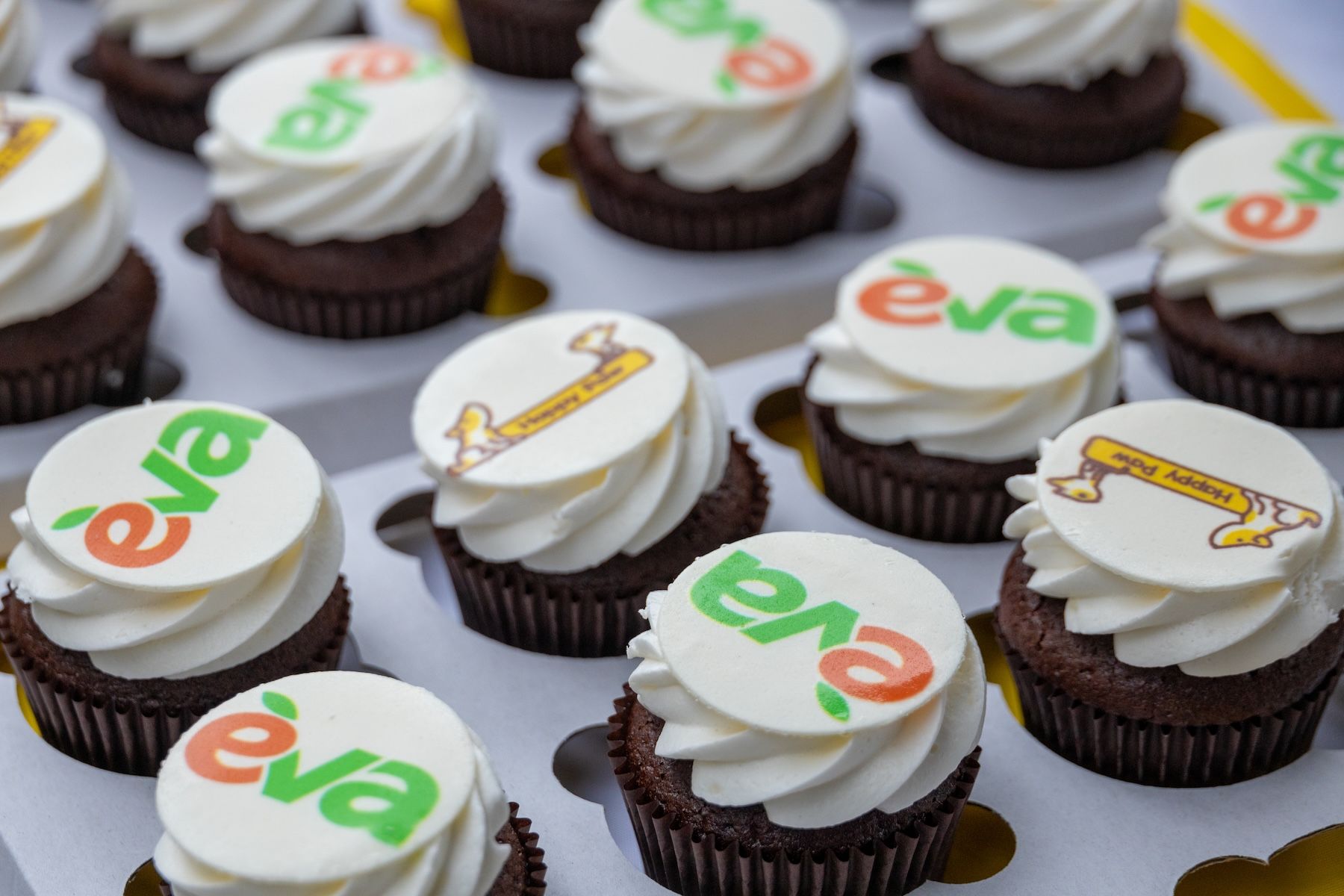 Запали зірку тепла: як допомогти перезимувати тваринам у притулках України 6