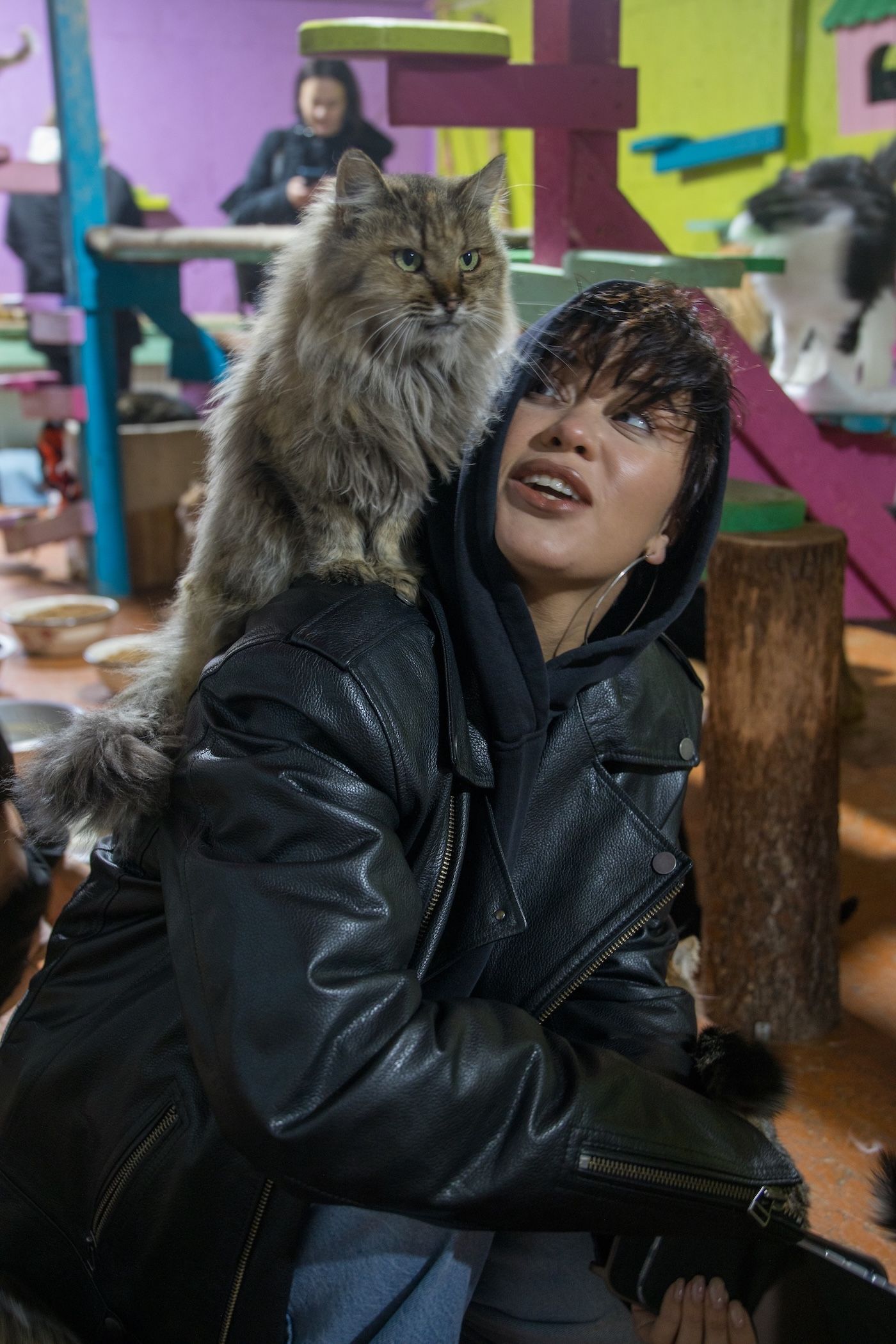 Запали зірку тепла: як допомогти перезимувати тваринам у притулках України 11