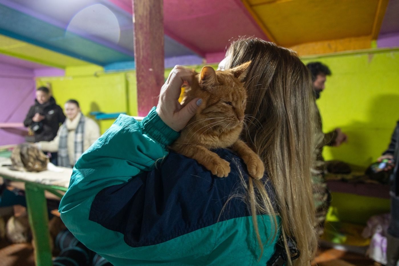Запали зірку тепла: як допомогти перезимувати тваринам у притулках України 3