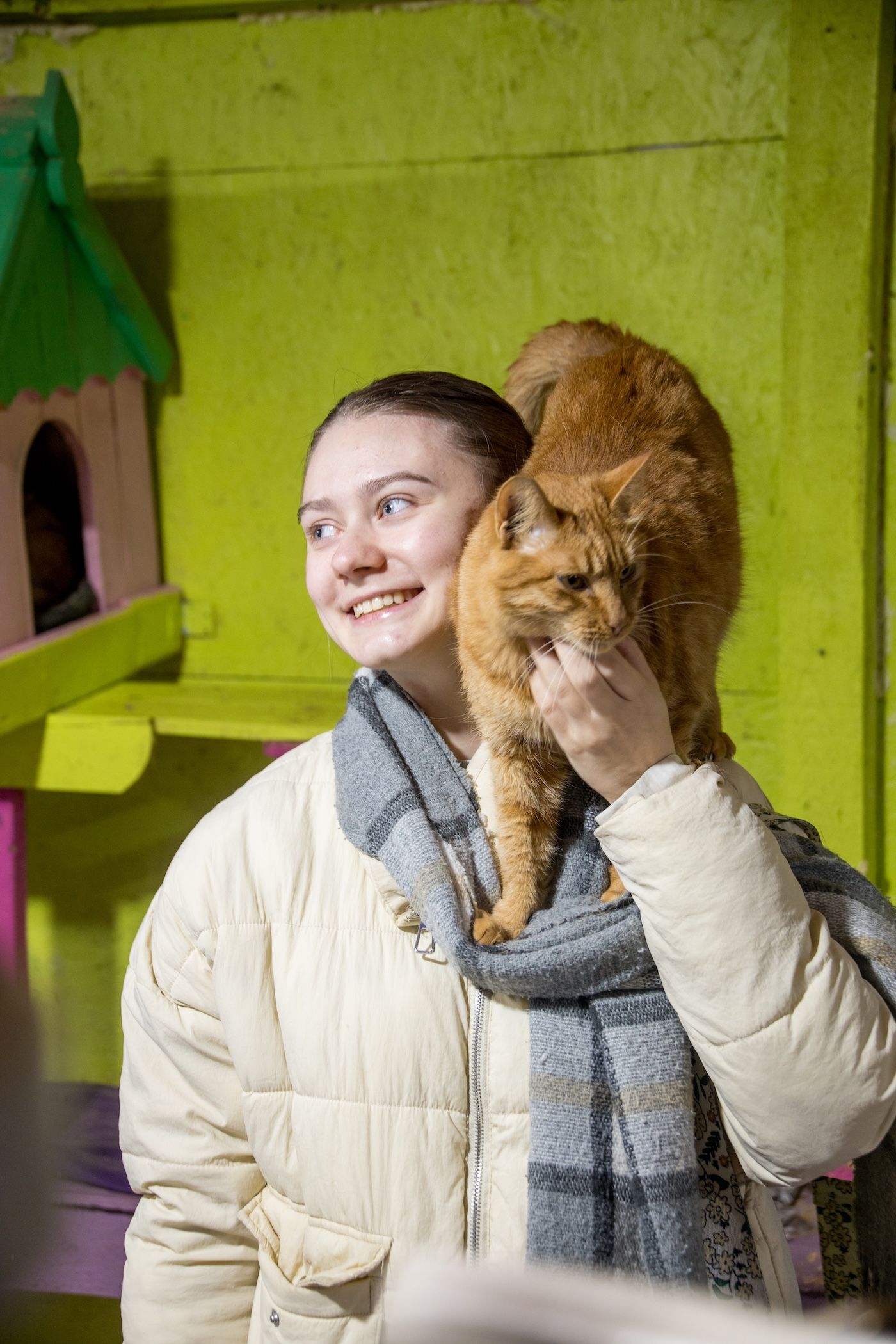Запали зірку тепла: як допомогти перезимувати тваринам у притулках України 12