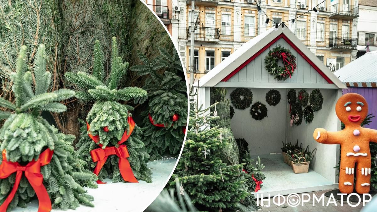 За два роки ялинки здорожчали майже вдесятеро: названо офіційну ціну на деревця у Києві