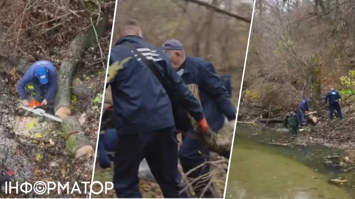 Комунальники чистять русло Либеді у Києві: виймають сміття й стовбури дерев