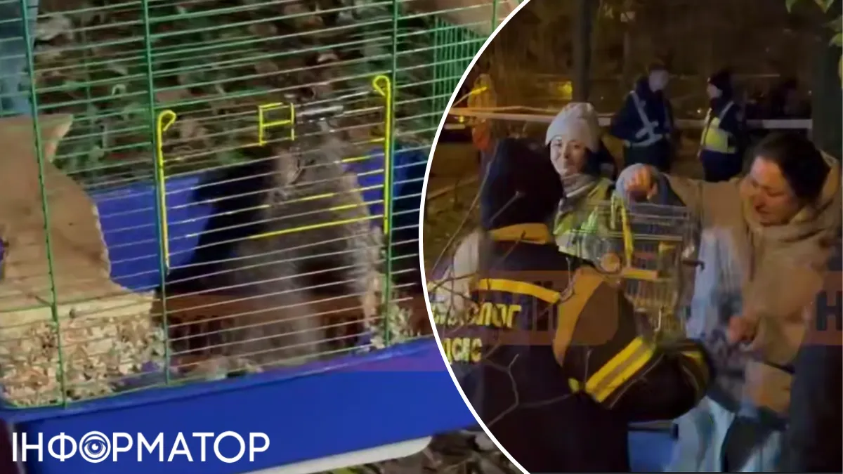 З палаючої багатоповерхівки на Русанівці врятували папужку та шиншилу