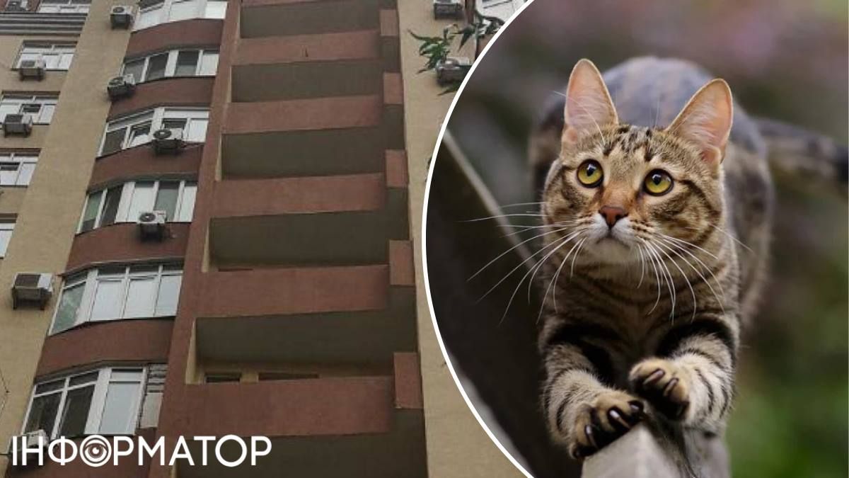 Самовигул тварин - це зло: чи понесе відповідальність власниця котика Сема, загиблого від рук школяра