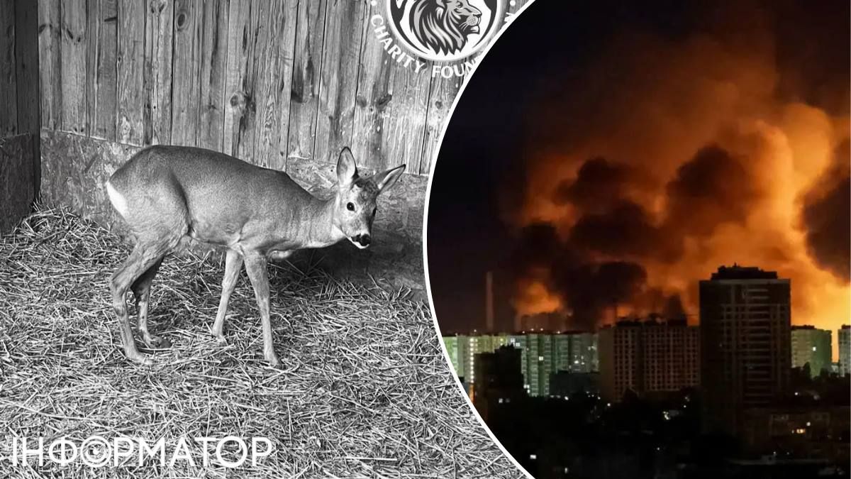 Киевская область