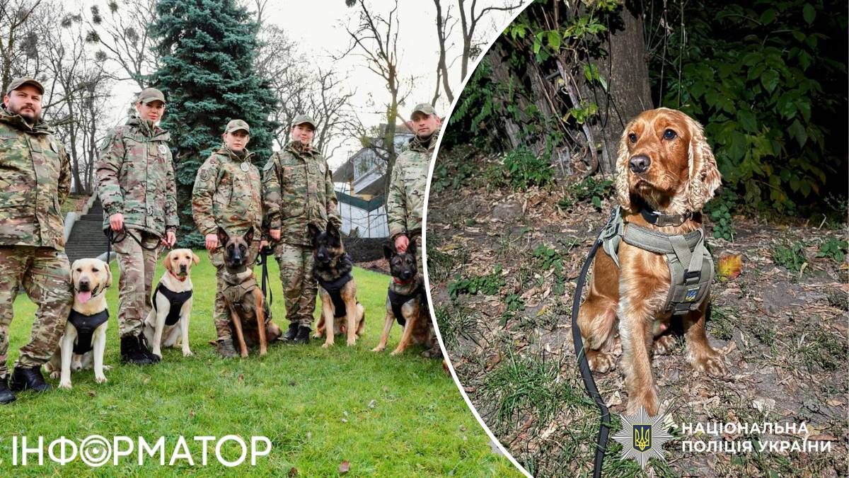 Чотирилапі детективи: у Києві службові собаки знайшли понад 50 кг наркотиків з початку року