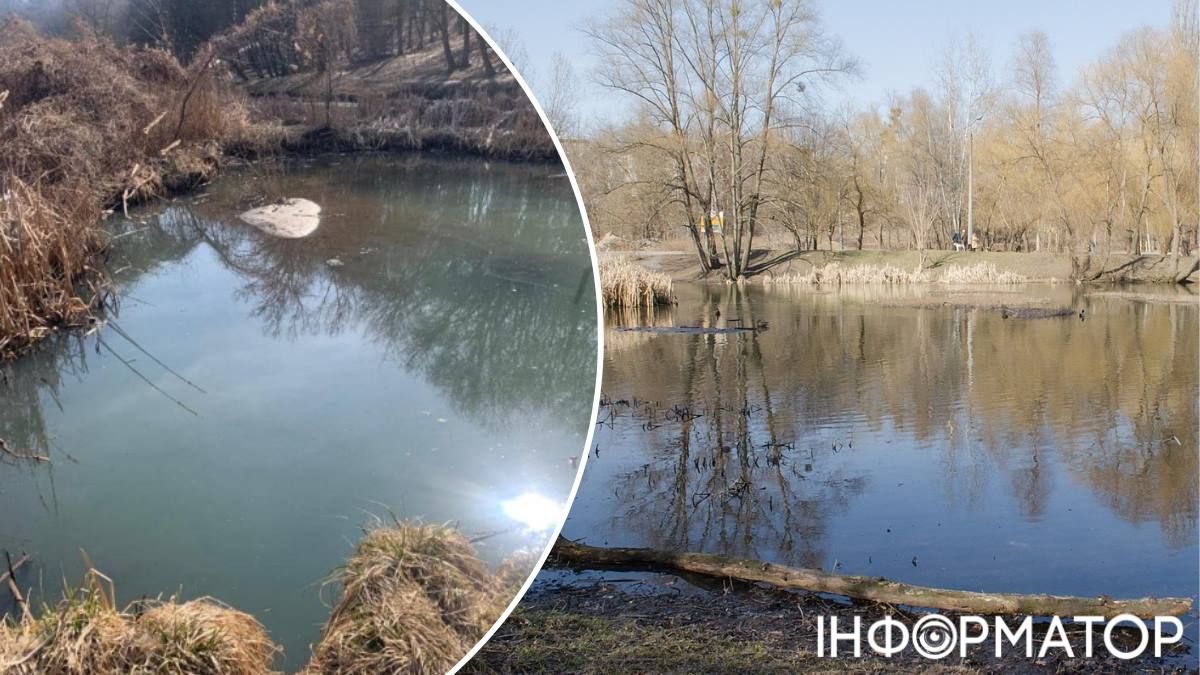 У Києві можуть нарешті почати порятунок гнилих та замулених Горіхуватських ставків