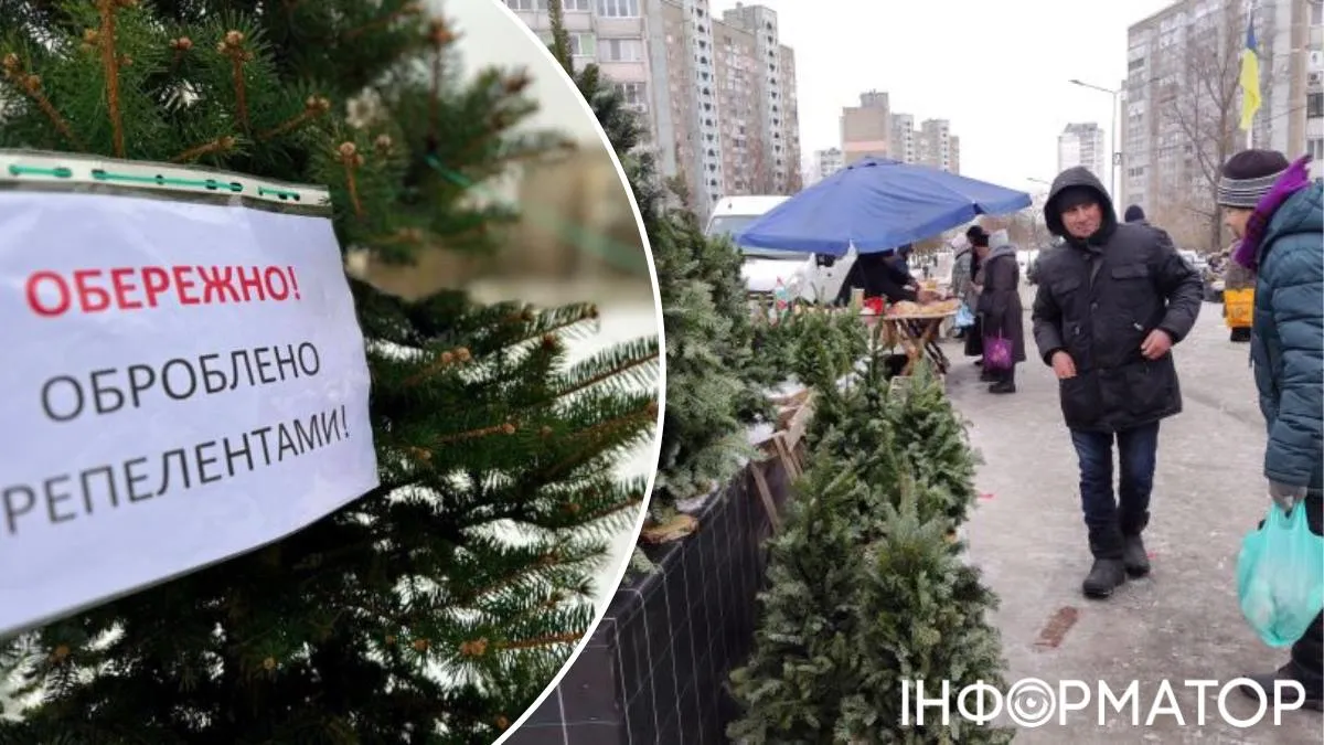 У Києві відкрили сезон полювання на ялинкових браконьєрів