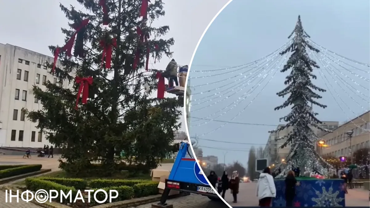 Київська область Бровари ялинка