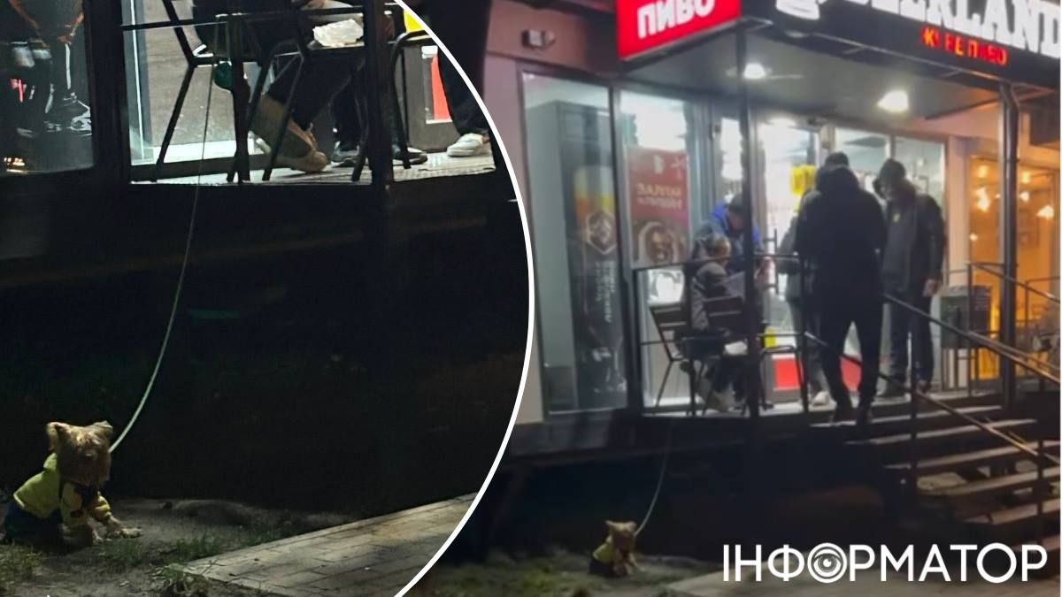 Вайб Оболоні: маленького йорка залишили на крижаному ґрунті, а самі пішли грітися алкоголем