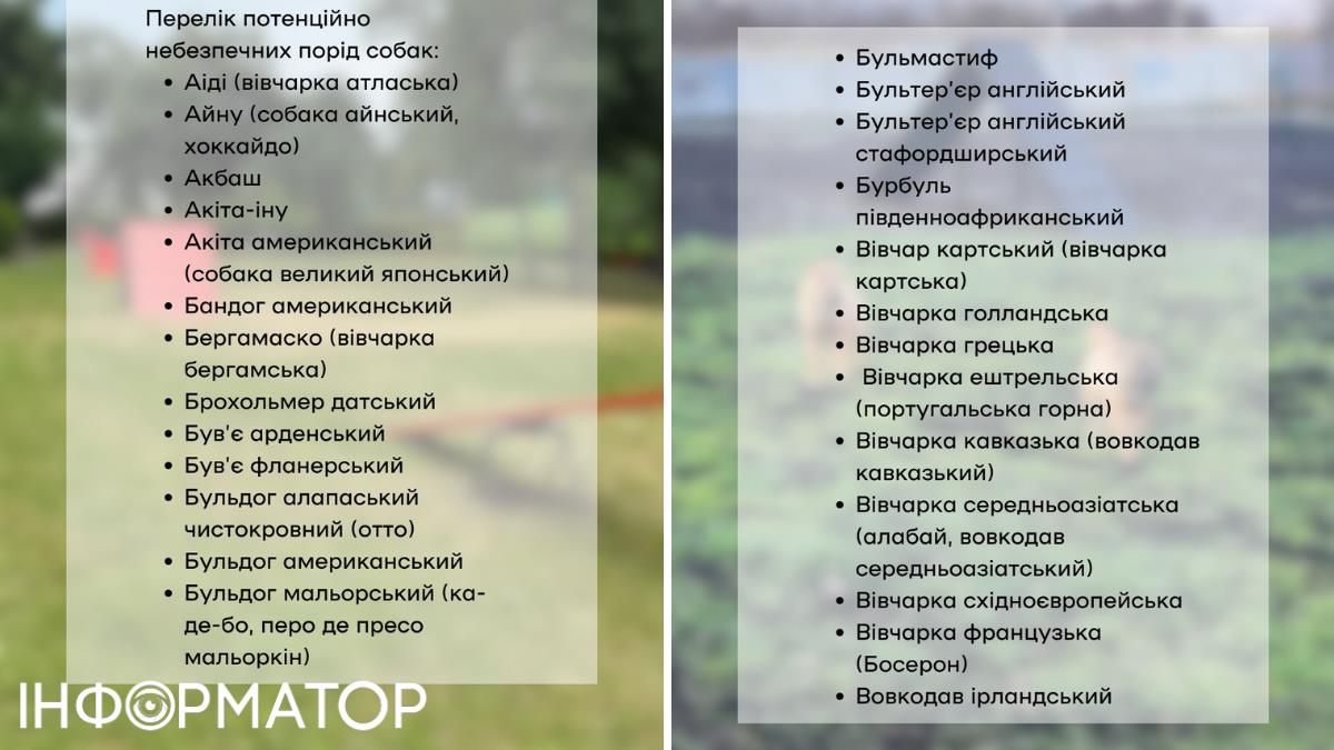 Киевлянам-владельцам потенциально опасных собак придется пройти тестирование: уже есть перечень пород.