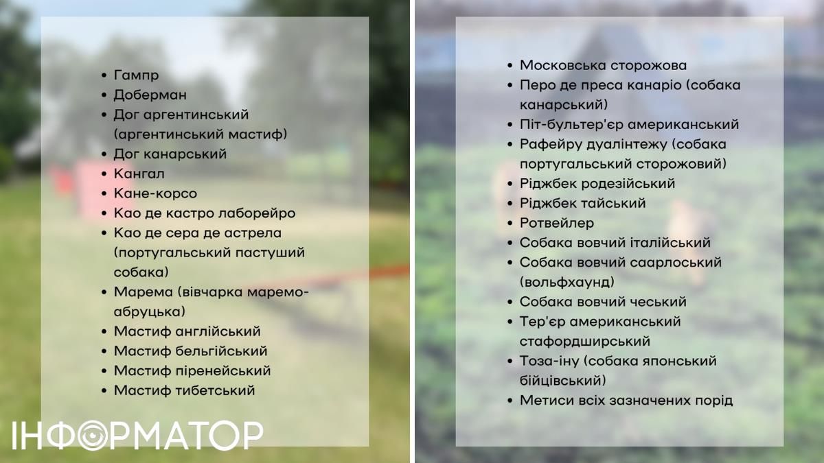 Киевлянам-владельцам потенциально опасных собак придется пройти тестирование: уже есть перечень пород.