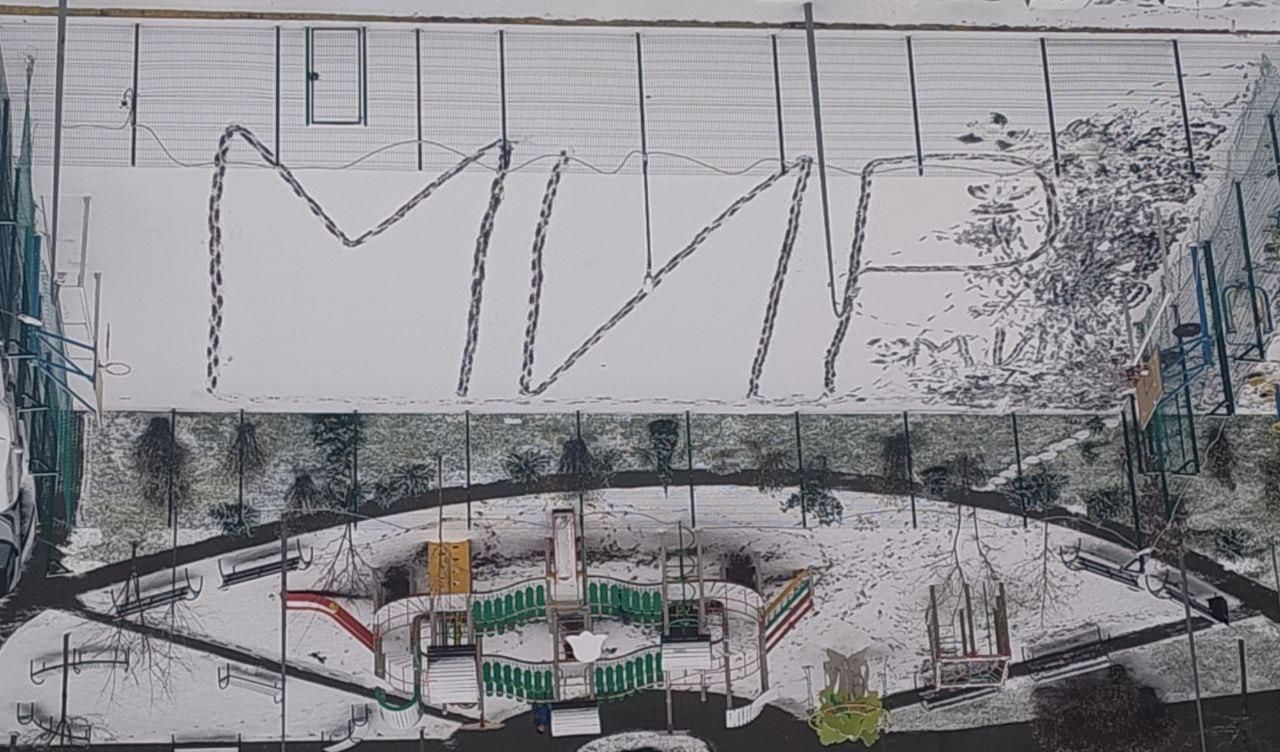 Метлы, тракторцы-посыпайки и натоптанный МИР: в Киеве выпал первый снег 4