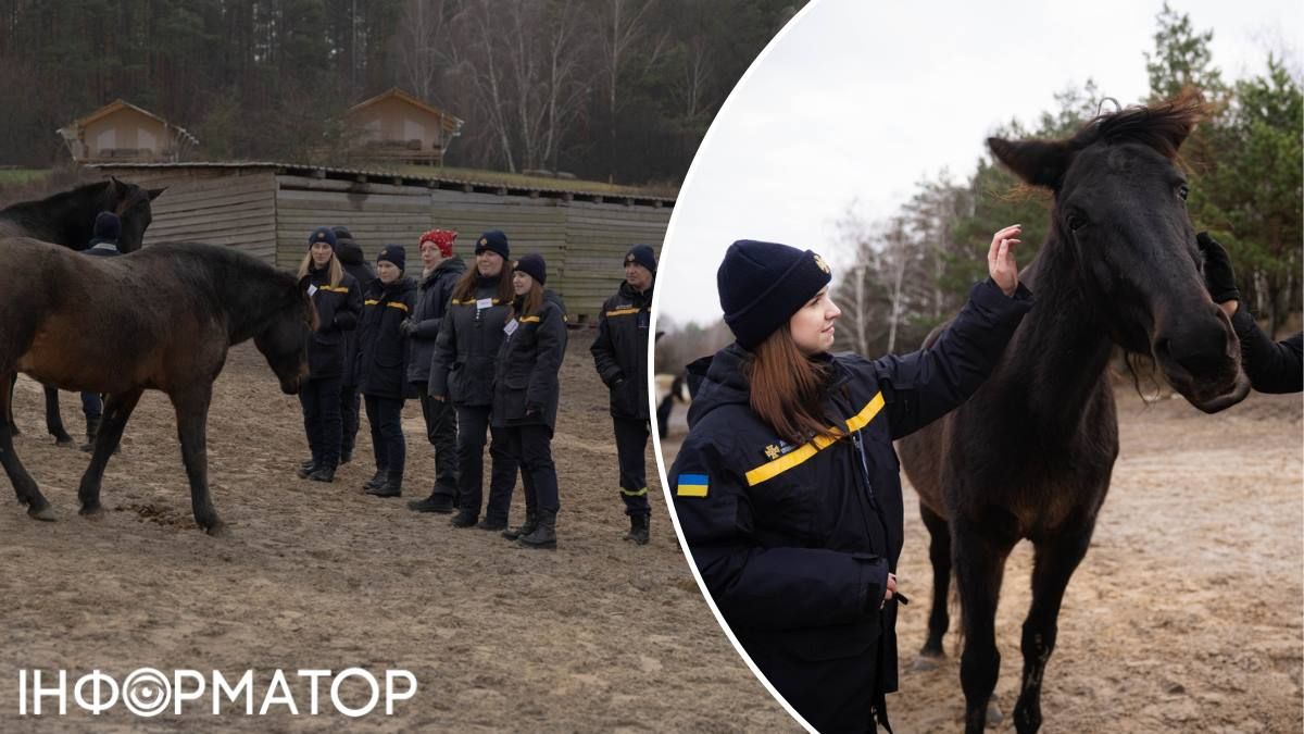 Новый опыт спасателям понравился: говорят, что ждут новых встреч с воспитанниками конного завода Новый опыт спасателям понравился: говорят, что ждут новых встреч с воспитанниками конного завода