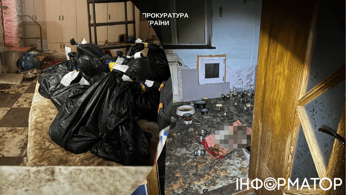 животные коты жестокое обращение прокуратура