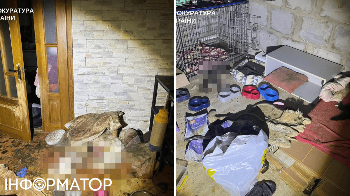 Зоозащитники предполагают, что останки животных могут быть и под полом в доме и во дворе, где стоит невыносимый трупный запах.